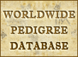 DogsFiles.com - worldwide pedigree database.