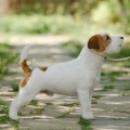 AZART POGONI DIZZY DISKOVERY AZART POGONI DIZZY DISKOVERY