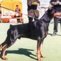 SATHAN DI LATIANO SATHAN DI LATIANO