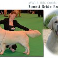 BONETT BRIDE ENERGY SOURCE