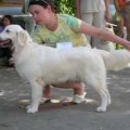 ELLOU STOUN BARBARA