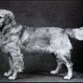 KASANOVA OF KULDANA