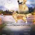 SIMON DREAM CATCHER SIMON DREAM CATCHER