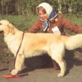 TUDINA II