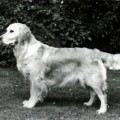 CAMROSE ANTONY