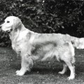 CAMROSE MATILDA