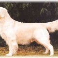 JOBEKA JASPER OF NORTONWOOD