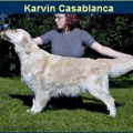 KARVIN CASABLANCA