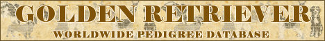 DogsFiles.com - databases of all dog's breeds.
