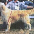 MABELLA JAMES V.D. BEERSE HOEVE