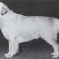 JAMESCROFT SQUIRE