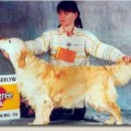 MABELLA V. D. BEERSE HOEVE