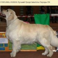 DERBY FOR URAL EVIDOG