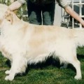 JACKRALEE ONYX OF GALANS