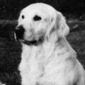 WESTLEY MARTHA