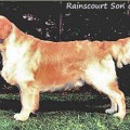 RAINSCOURT SON OF A GUN