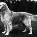 WESTLEY MUNRO OF NORTONWOOD