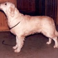 JAKO'S MASCOT