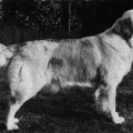 BEAMSLEY BRODIE