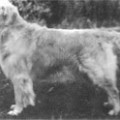 MARYMOR MILES
