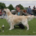 MATADOR V.D. BEERSE HOEVE