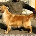 VERY SEXY LADY DES JARDINS D'EPONA