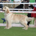 JAKO'S HOPE FOR THE FUTURE