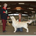 SULTAN OF SAND V.D. BEERSE HOEVE