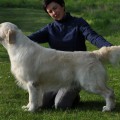 JAKO'S MYSTIC TOUCH