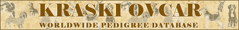DogsFiles.com - databases of all dog's breeds.