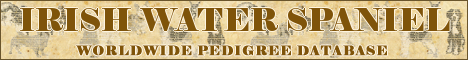 DogsFiles.com - databases of all dog's breeds.