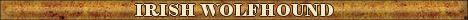 DogsFiles.com - databases of all dog's breeds.