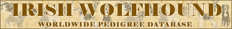 DogsFiles.com - databases of all dog's breeds.