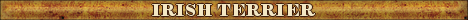 DogsFiles.com - databases of all dog's breeds.