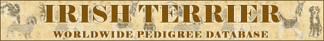 DogsFiles.com - databases of all dog's breeds.