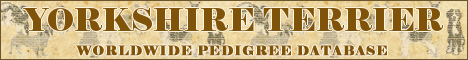 DogsFiles.com - databases of all dog's breeds.