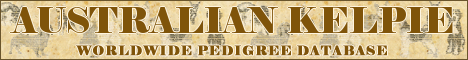 DogsFiles.com - databases of all dog's breeds.