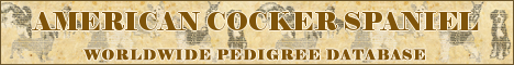 DogsFiles.com - databases of all dog's breeds.