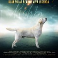 ULAN POLAR BEAR DE VIVA LEGENDA ULAN POLAR BEAR DE VIVA LEGENDA