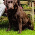 STORMLEY HALEY