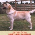 SANDYLANDS GAD-ABOUT