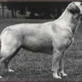 WINNIE'S KLICHE