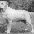 ROCHEBY WISKY MAC