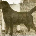EIREANNACH BLACK COACHMAN