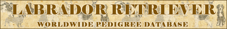 DogsFiles.com - databases of all dog's breeds.