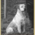 POOLSTEAD PRECIOUS PEARL