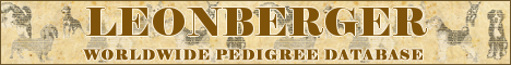 DogsFiles.com - databases of all dog's breeds.