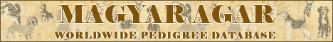 DogsFiles.com - databases of all dog's breeds.