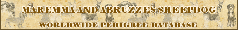 DogsFiles.com - databases of all dog's breeds.