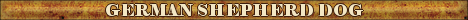 DogsFiles.com - databases of all dog's breeds.